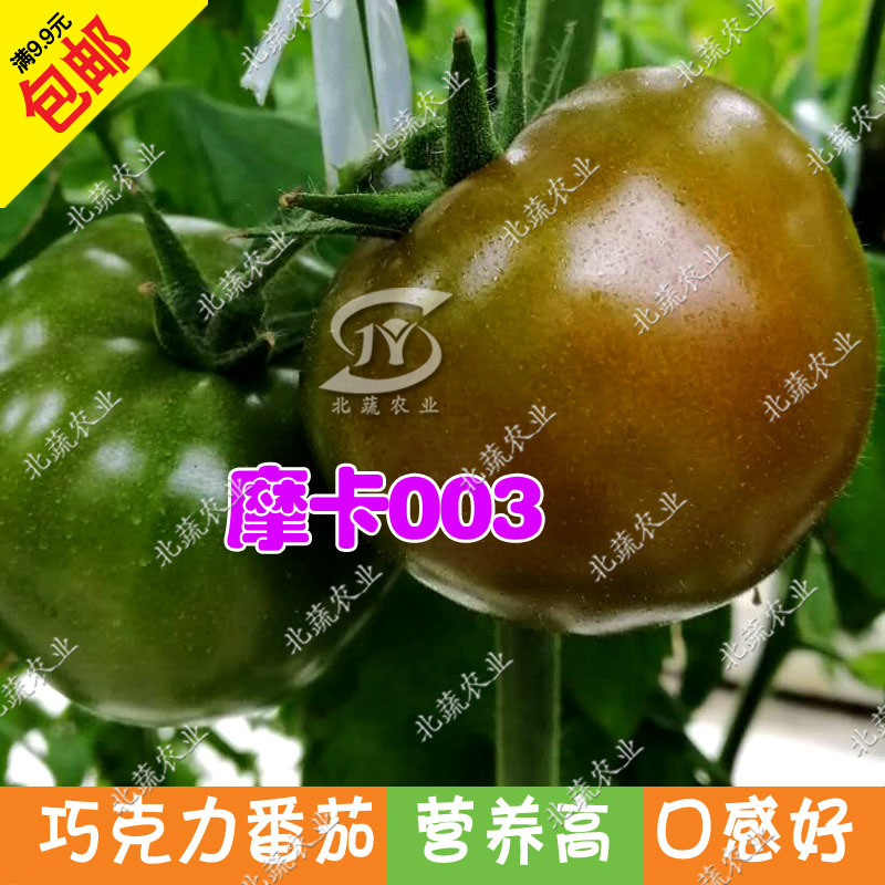 黑番茄种子摩卡003大黑西红柿种籽巧克力柿子种北蔬农业
