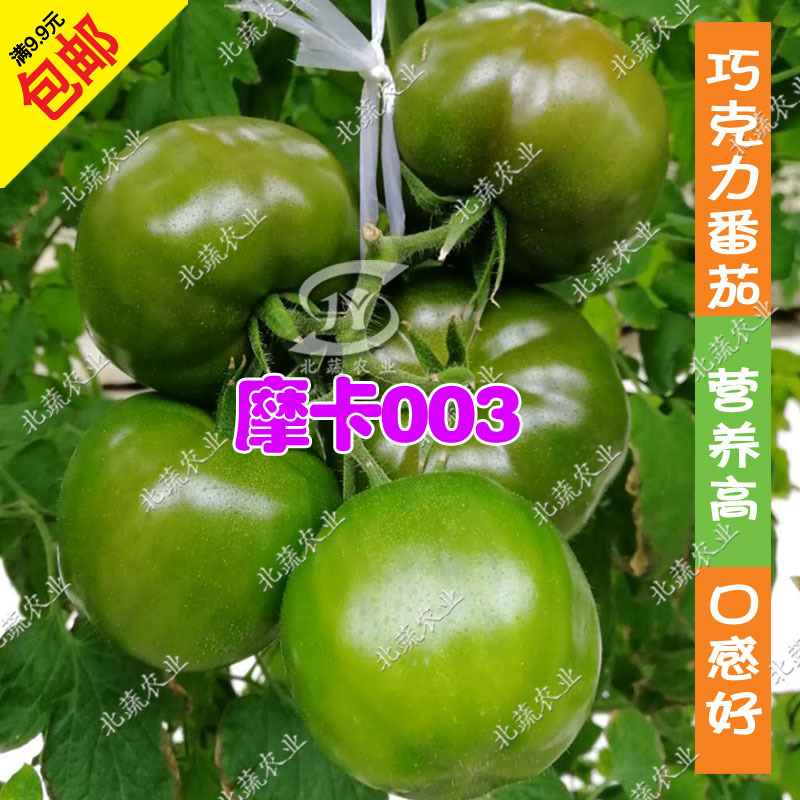 黑番茄种子摩卡003大黑西红柿种籽巧克力柿子种北蔬农业