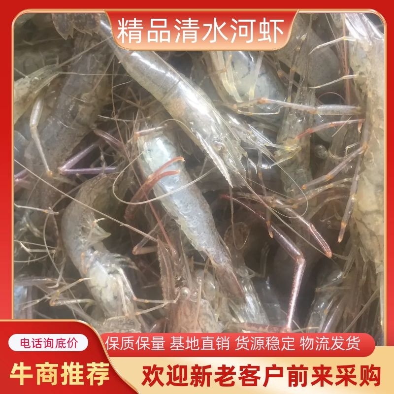 湖北省潜江市清水河虾，味道鲜美，30斤起批欢迎各位老板下单