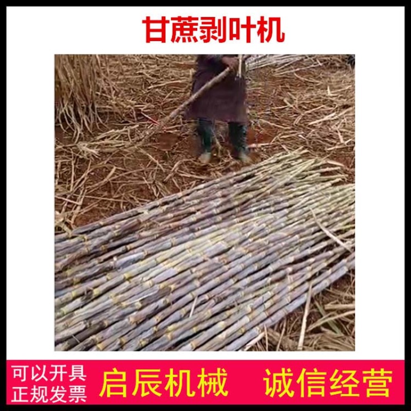 小型甘蔗脱叶机173柴油机甘蔗剥叶机剥叶打尖一次性完