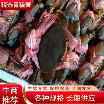 越南生猛糕蟹，长期供应，货源充足，小本生意，诚信经营欢迎