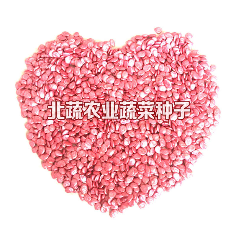 番茄种子耐热盛夏四号西红柿种籽抗病毒大果硬粉柿子籽