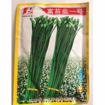 苔韭种子富苔韭一号韭菜花种籽四季苔韭种子早熟韭菜花