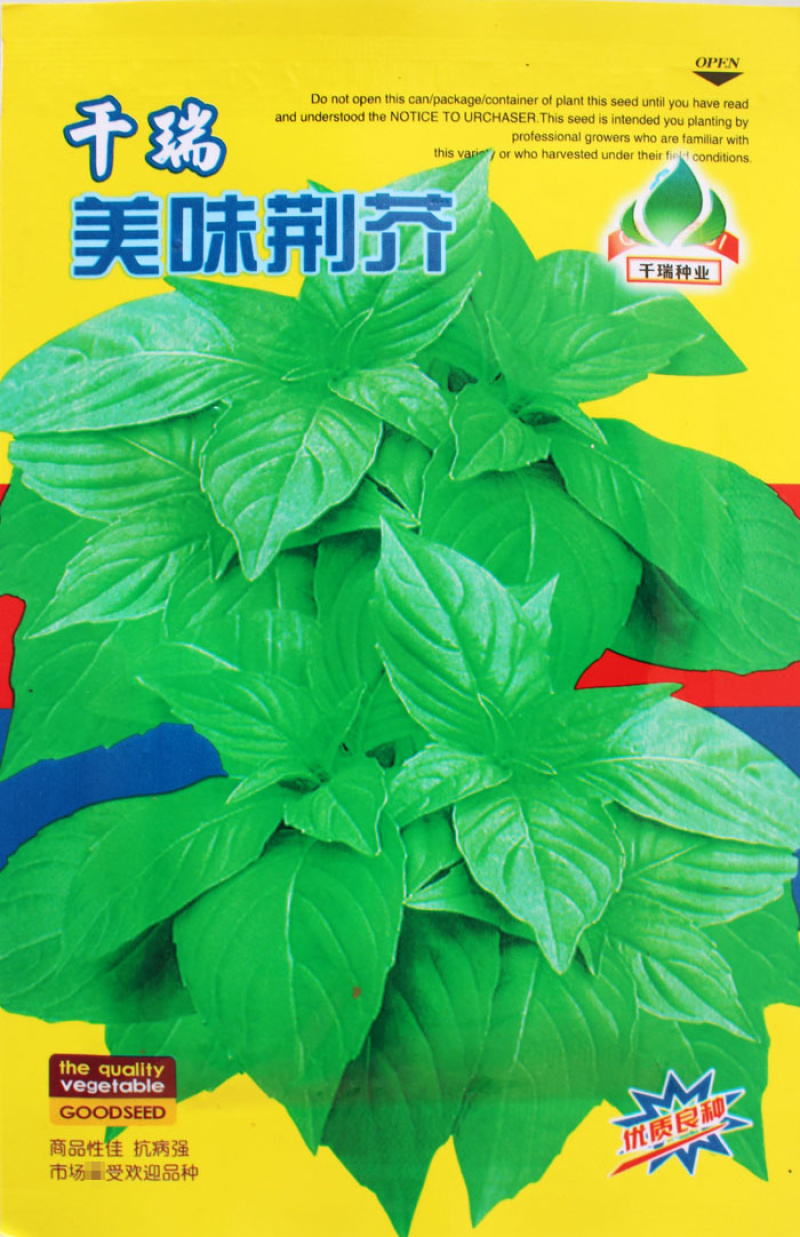 大叶荆芥种子河南荆芥香味浓耐热香菜芽率高四季种植