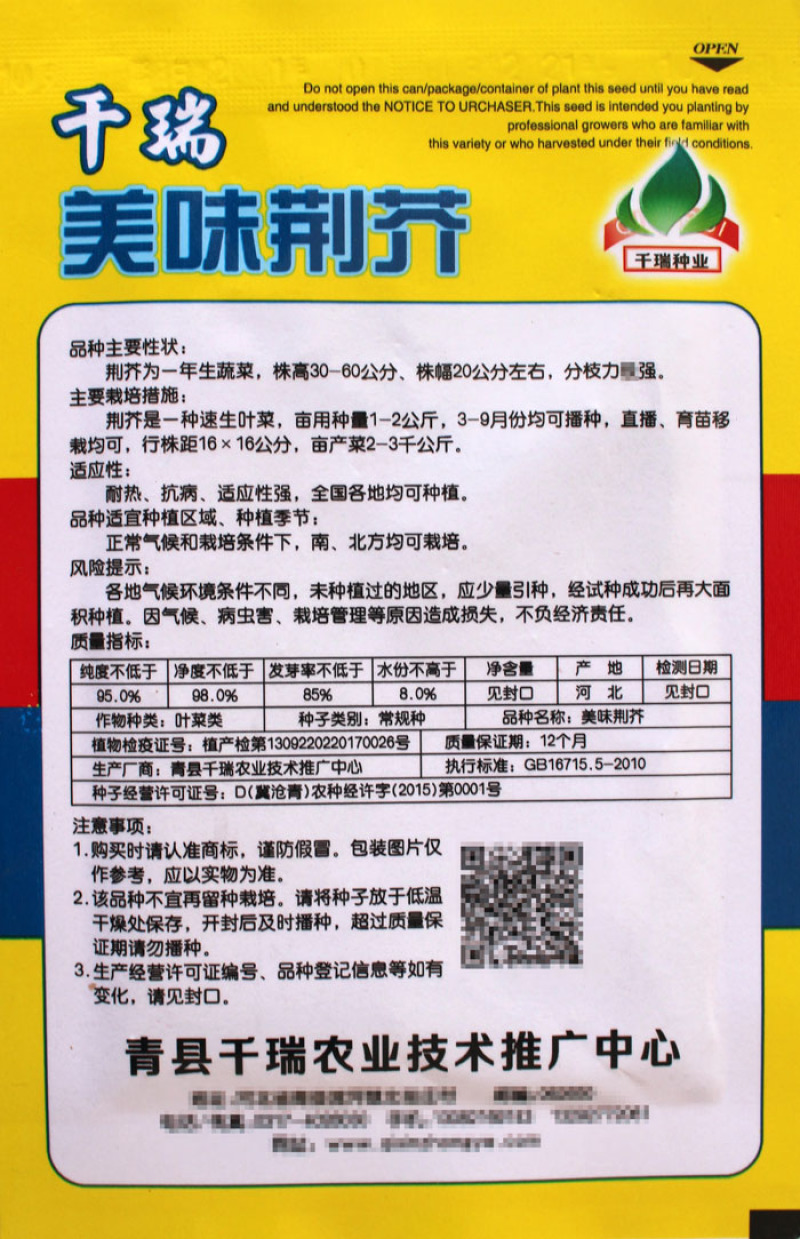 大叶荆芥种子河南荆芥香味浓耐热香菜芽率高四季种植