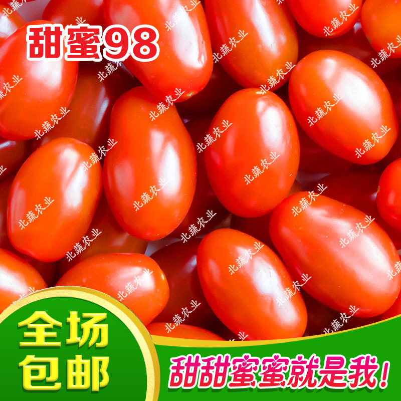 花生柿子种子甜蜜98红色小柿子籽超甜圣女果种孑好吃耐裂