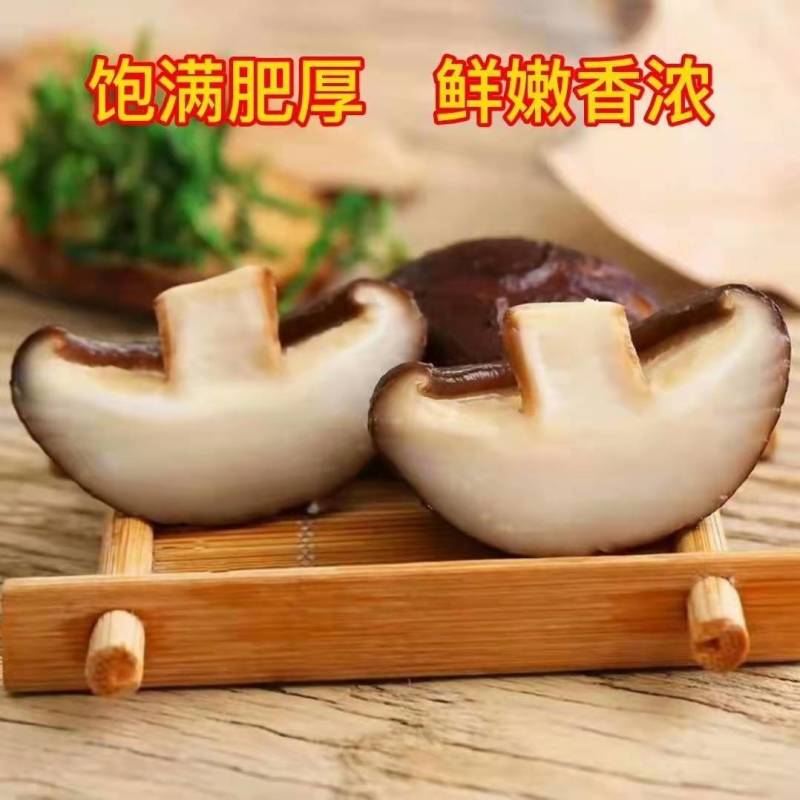 新鲜香菇现摘现发基地直发量大从优