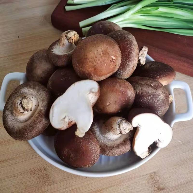 [优质]香菇肉肥厚产地直发大量供应