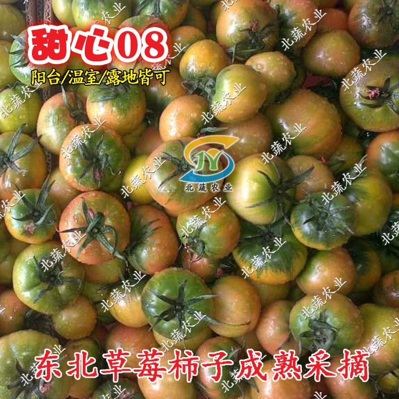 草莓番茄种子甜心08酸甜好吃水果西红柿种籽北蔬农业