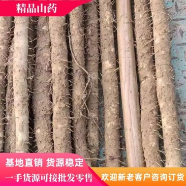 河北精品白山药，产地直销，保质保量发货稳定供应全国市场