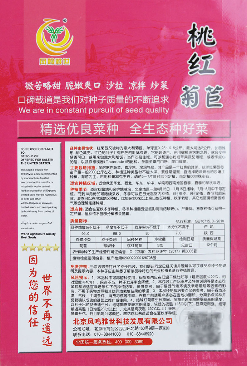 软化菊苣种子四季阳台蔬菜