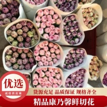 【康乃馨】云南鲜花基地直批颜色齐全冷链新鲜到家
