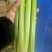 山东菏泽西芹基地直供大量有货品质保证一手货源
