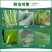 烯啶虫胺80%烯啶吡蚜酮水稻稻飞虱蚜虫蓟马粉虱杀虫剂