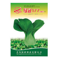 绿冠177青梗菜种子叶柄宽亮绿色束梗生长速度快