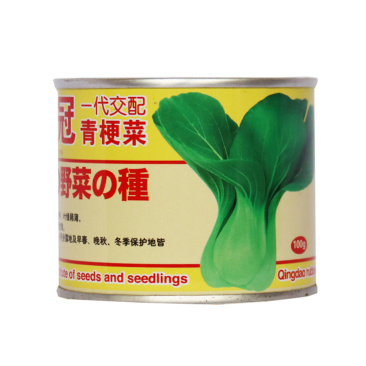 青梗菜种子美华冠生长快上叶柄宽青蔬菜种子小白菜杂交品种
