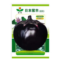 圆茄种子日本紫丰茄子紫圆茄黑圆茄杂交大果果肉紧实