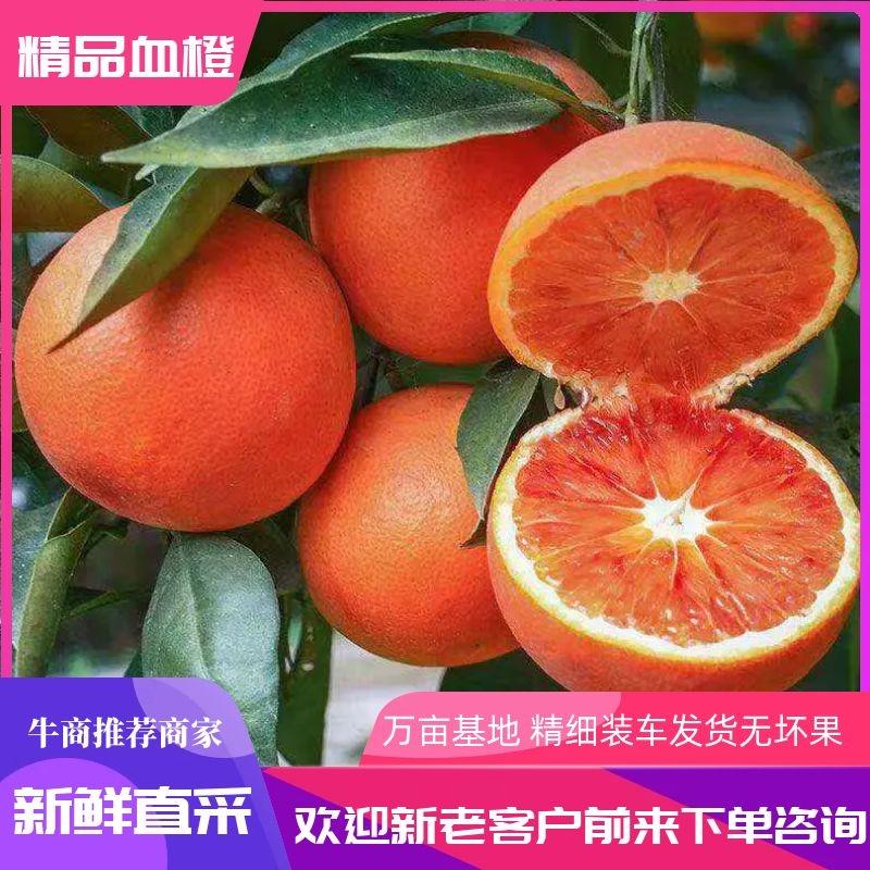 【诚信经营】四川资中塔罗科血橙大量有货，酸甜可口实力供货