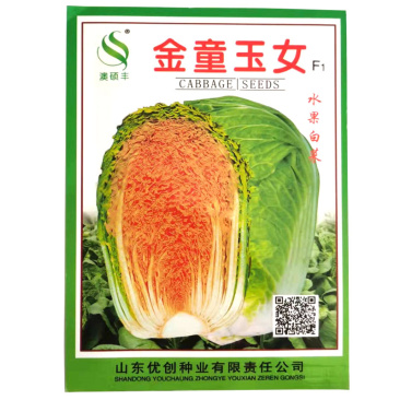 黄心大白菜种子水果白菜籽生吃橘红心结球紧实春秋种植高产