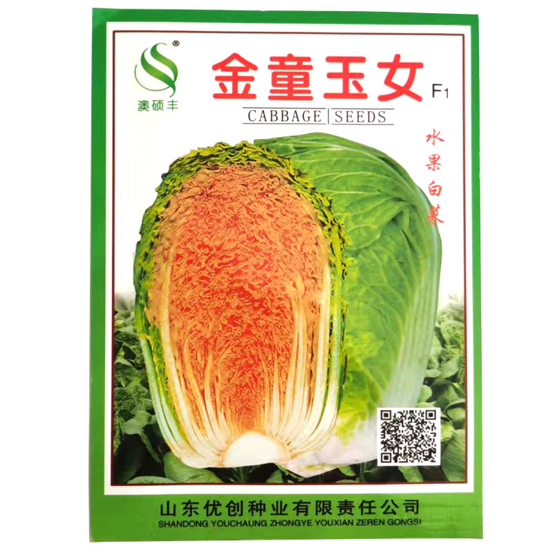 黄心大白菜种子水果白菜籽生吃橘红心结球紧实春秋种植高产