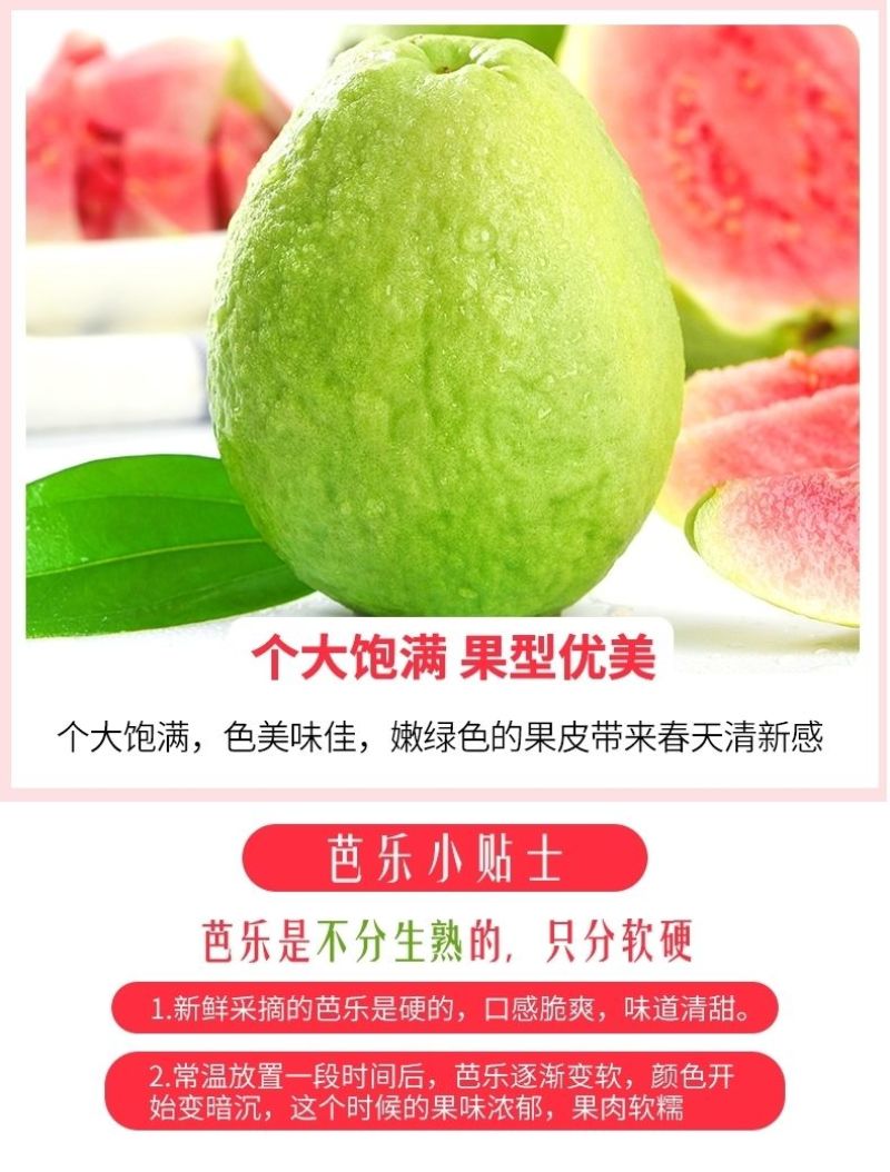 [香甜软糯]番石榴红心芭乐果红心番石榴5斤批发