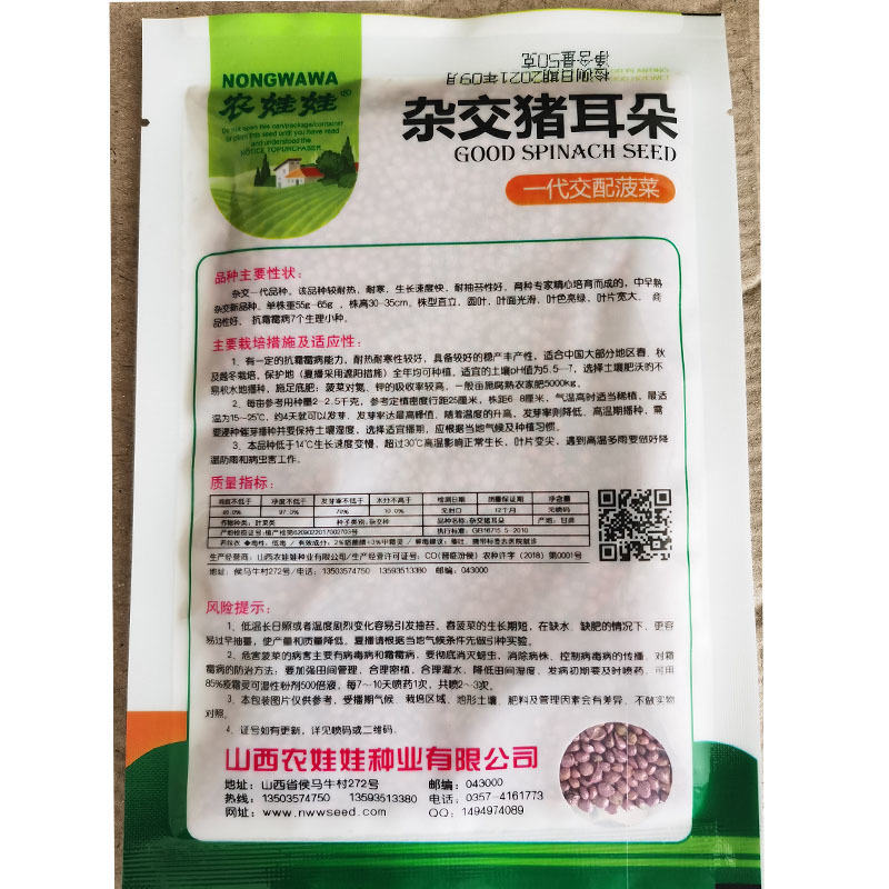 猪耳朵圆叶菠菜种子耐热耐寒生长速度快耐抽苔杂交