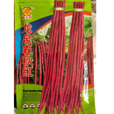 红豇豆种子春季耐热夏秋季四季蔬菜特长高产架豆紫豆角种籽孑