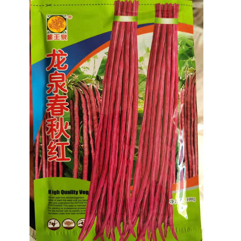 红豇豆种子春季耐热夏秋季四季蔬菜特长高产架豆紫豆角种籽孑