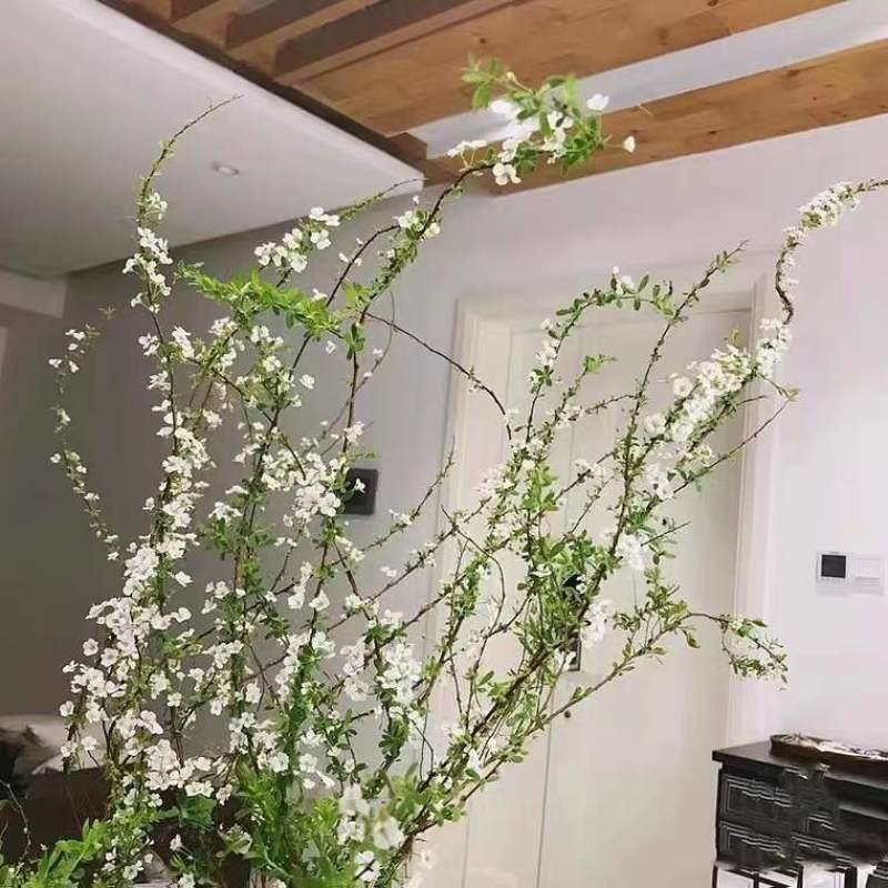 雪柳干枝枯木逢春干枝遇水开花农户直销
