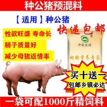 种猪预混料种猪饲料种猪饲料种公猪用预混料提高精液质量补充
