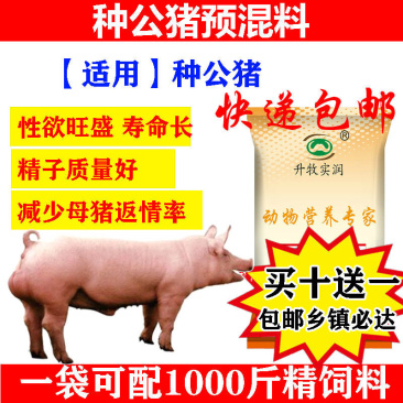 种猪预混料种猪饲料种猪饲料种公猪用预混料提高精液质量补充