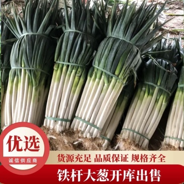 代收毛葱、净葱加工要货的联系根据客户要求加工，有冷库打冷