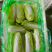 精品娃娃菜聊城娃娃菜产地直销品质保证量大从优