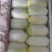 精品娃娃菜聊城娃娃菜产地直销品质保证量大从优