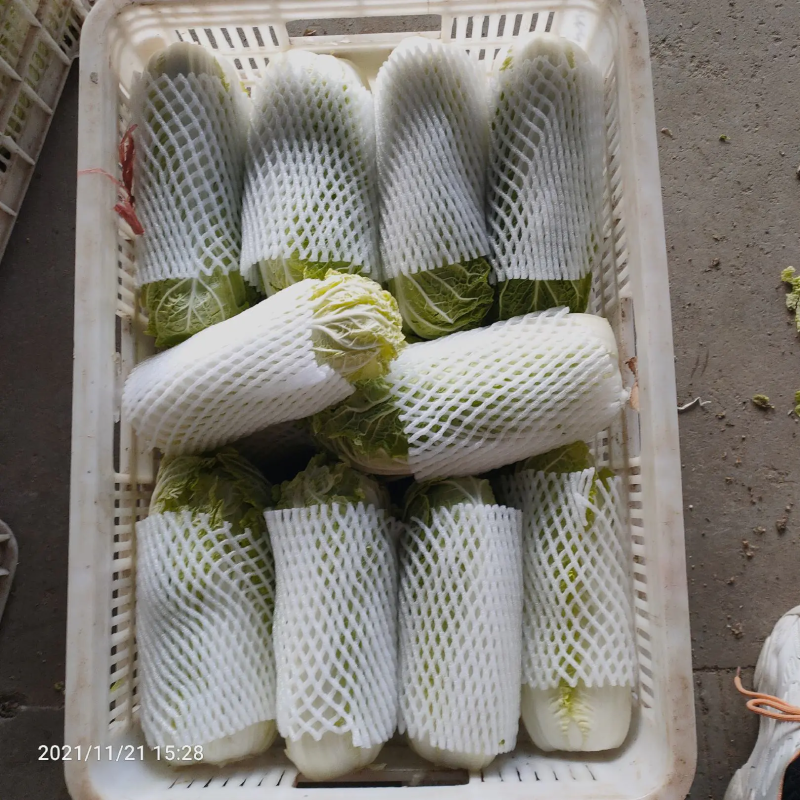 精品娃娃菜聊城娃娃菜产地直销品质保证量大从优