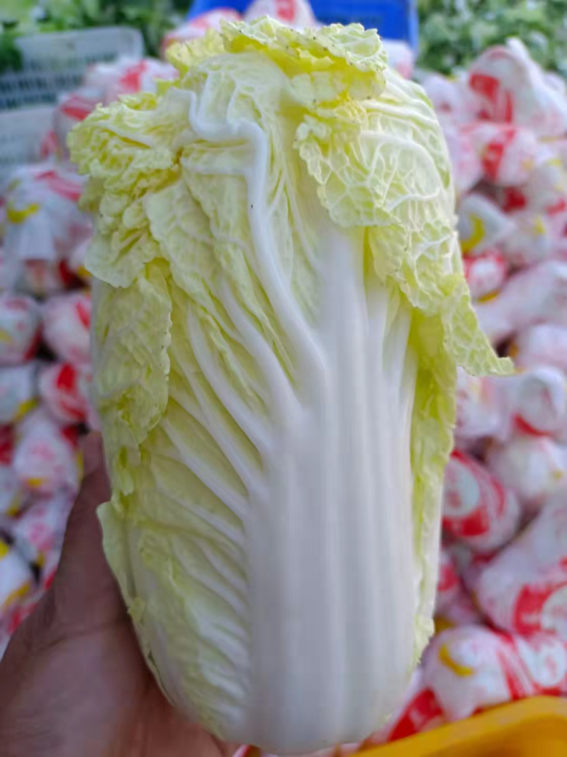 河南精品娃娃菜，产地新鲜采摘，鲜嫩，量大从优，欢迎咨询联系