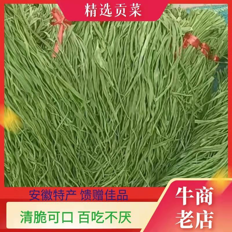 云南贡菜精品优质火锅贡菜产地直供全国供应欢迎选购