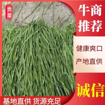 精品贡菜，产地直供，价格美丽，欢迎餐饮行业洽谈