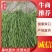 精品贡菜，产地直供，价格美丽，欢迎餐饮行业洽谈