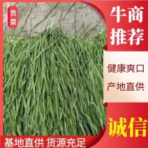 安徽涡阳县贡菜生产加工基地产地直供，价格美丽，欢迎洽谈合作