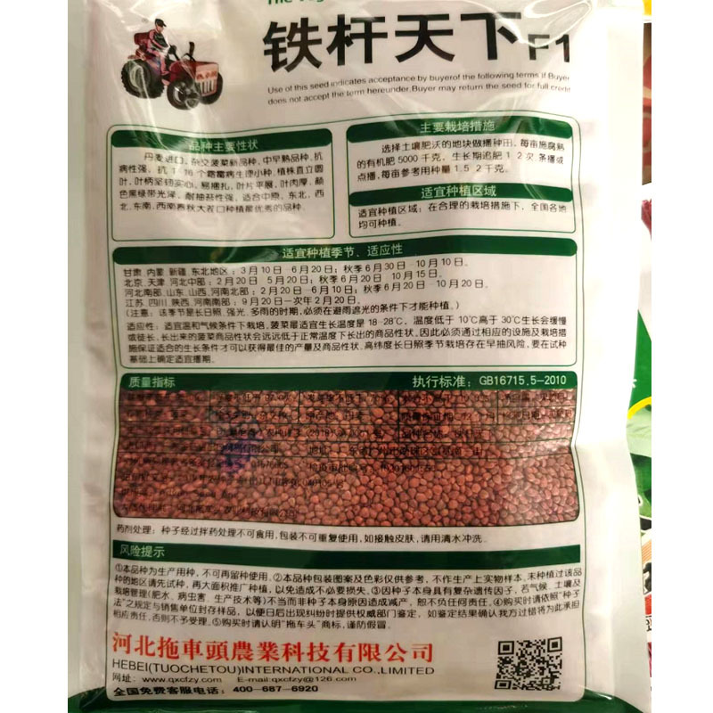 铁杆天下丹麦进口直立圆叶菠菜种子250g春秋夏季耐抽苔