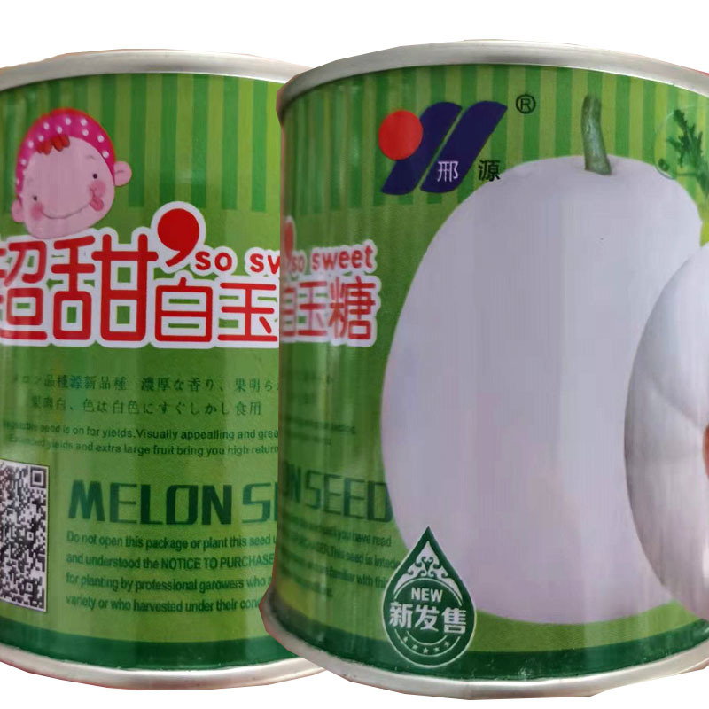 超甜白玉糖种子白皮甜瓜种子糖度高肉较厚基地种植