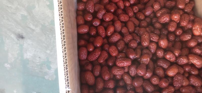 新疆灰枣品质保证大量上市批发商超电商供货不包含运费