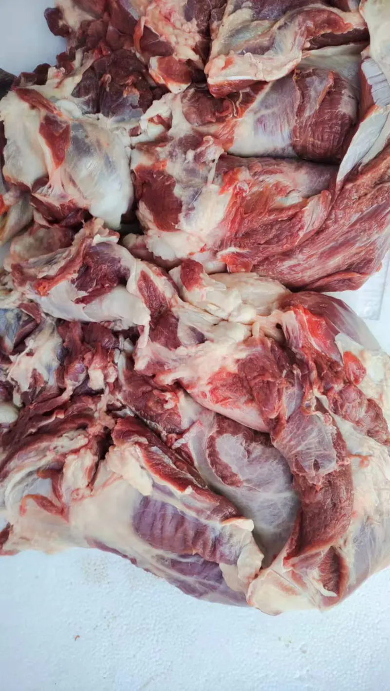 去骨羊肉鲜冻羊肉市场供应全国各地可发欢迎联系
