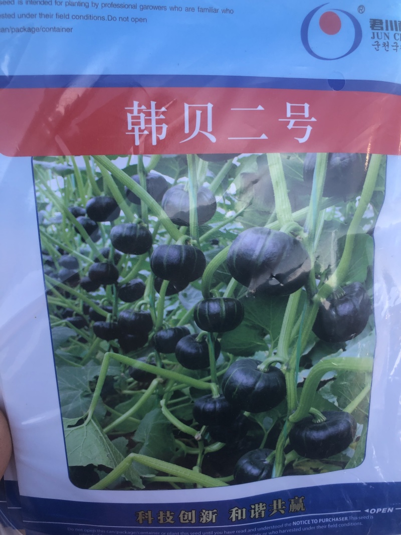 贝贝南瓜种子、板栗南瓜种子、大红南瓜种子、银栗南瓜种子