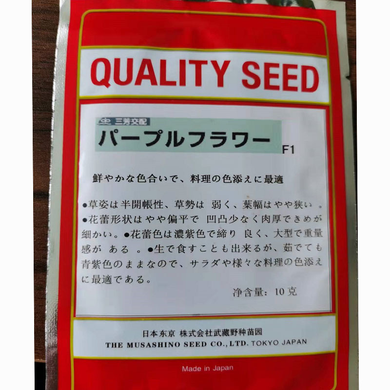 紫色花椰菜种子进口特色蔬菜紫色菜花种子紫花菜春秋种植