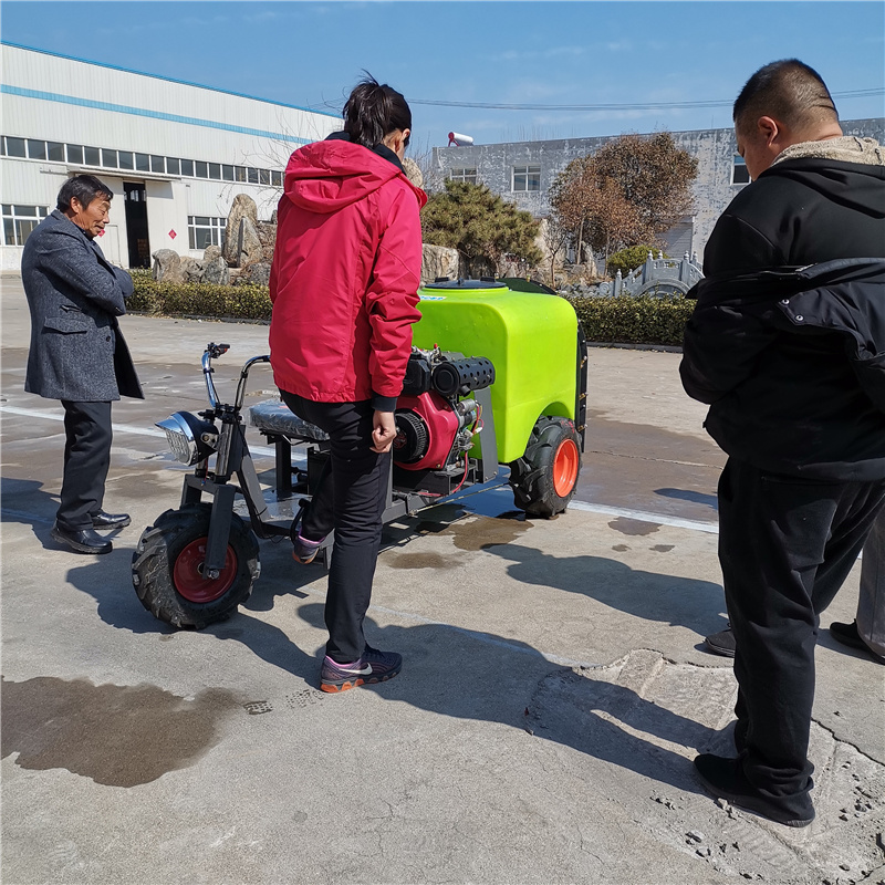 河南桃园打药机自走三轮风送打药机果园打药机