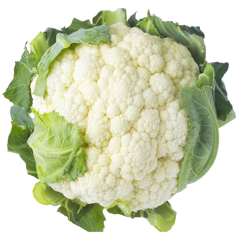 【精品】有机花菜松花菜大量上市货量充足量大从优欢迎选购！
