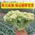 【精品】有机花菜松花菜大量上市货量充足量大从优欢迎选购！