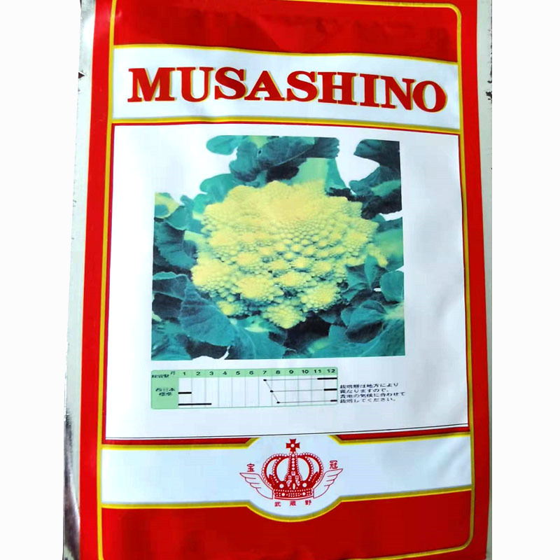宝塔菜种子罗马花椰菜籽螺丝菜绿花菜耐寒高产夏秋冬四季蔬菜